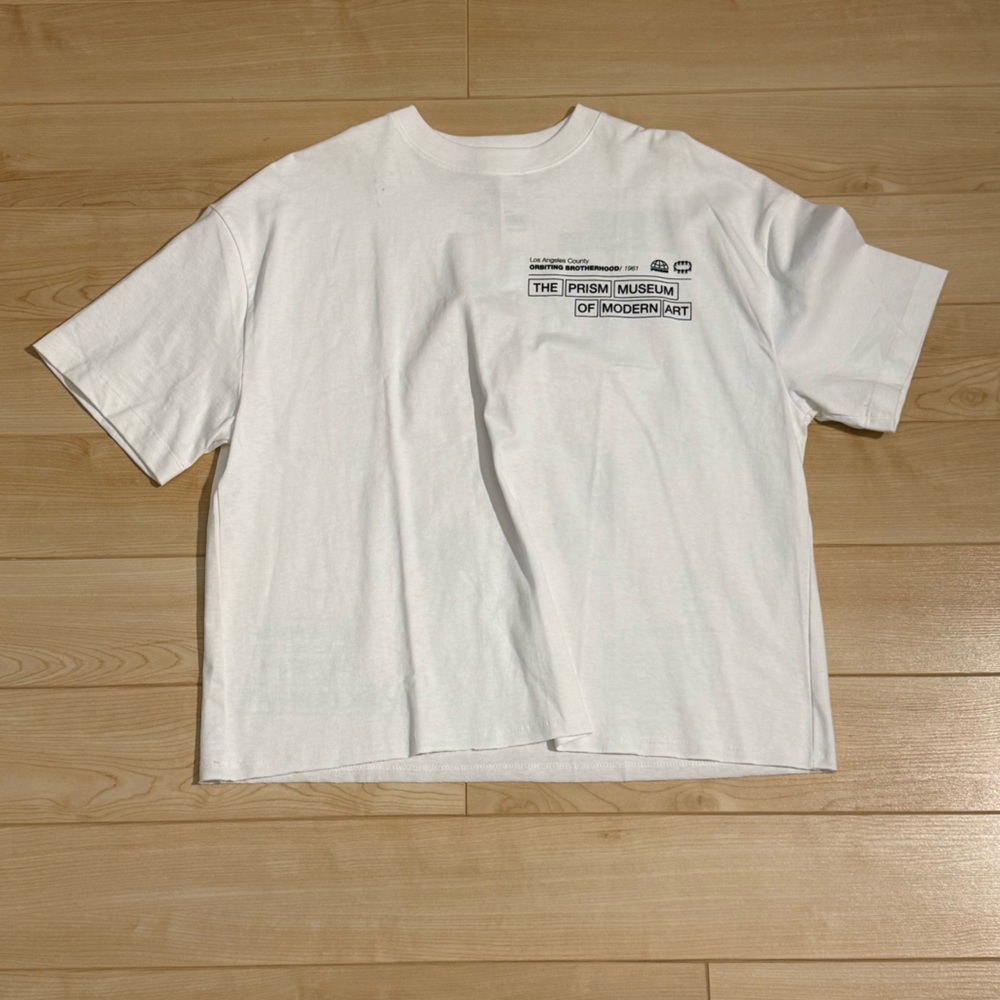 Pacsun prism cropped tee